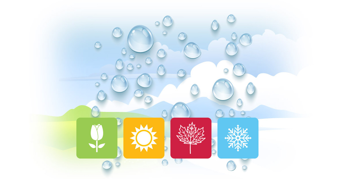 凝结的四季德赢vwin体育平台入口